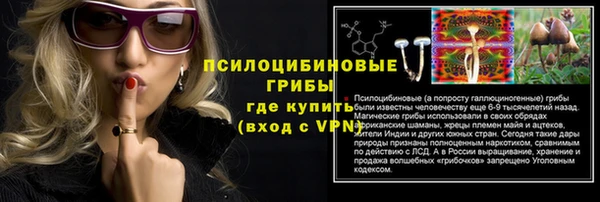 крисы Каменка